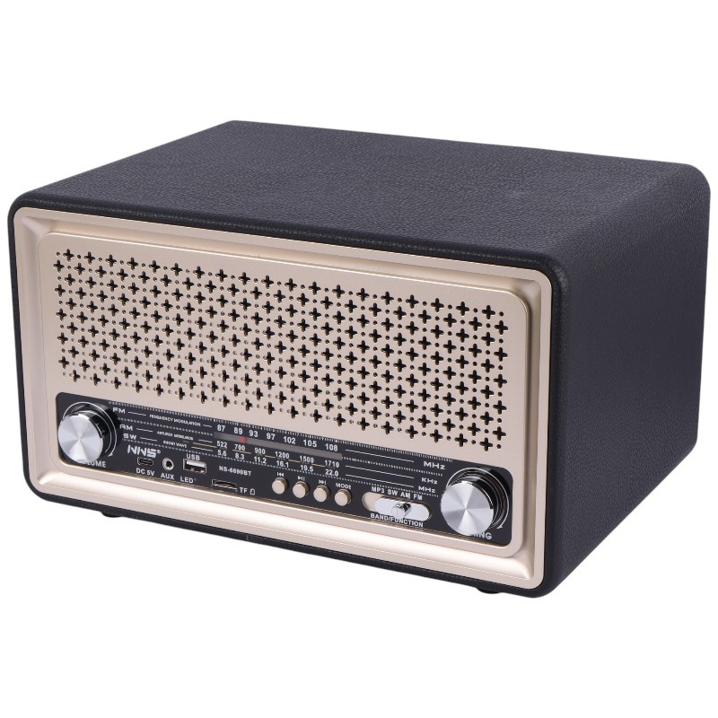 اسپیکر رادیویی بی سیم قابل حمل ان ان اس مدل NS-6690BT