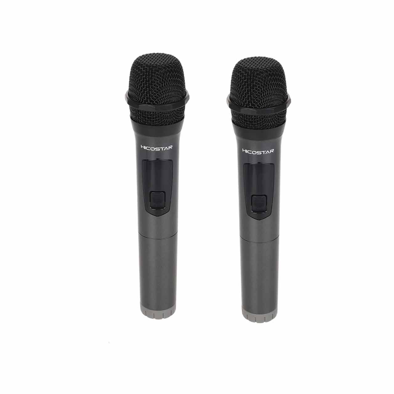 اسپیکر بی سیم قابل حمل هایکو استار مدل PARTY BOX HPS-6013