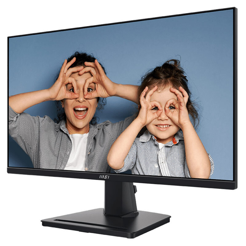 مانیتور ام اس آی مدل Pro MP251 سایز 24.5 اینچ