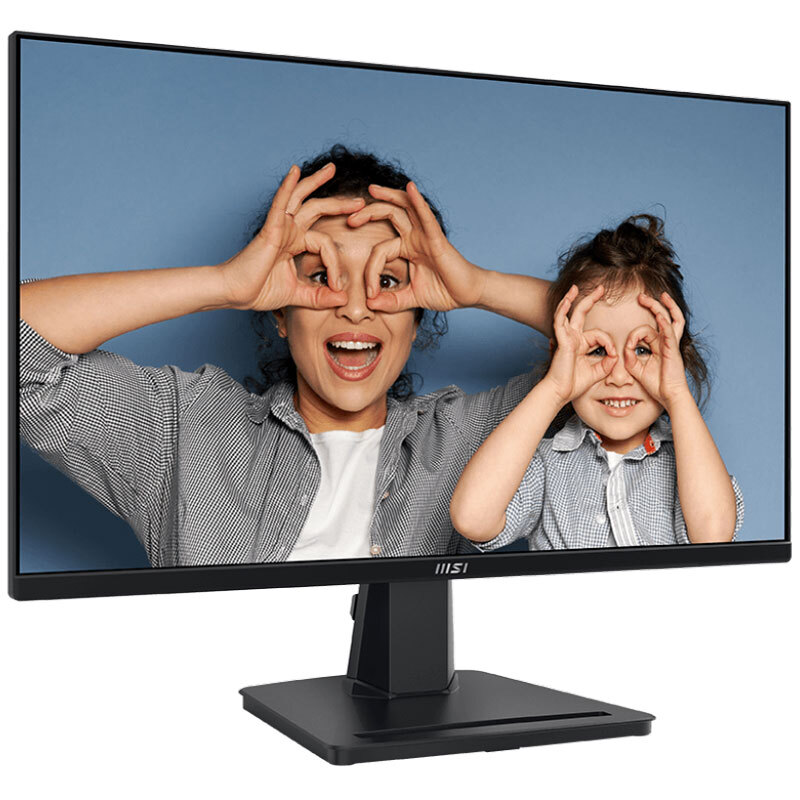 مانیتور ام اس آی مدل Pro MP251 سایز 24.5 اینچ